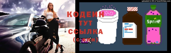 хмурый Гусиноозёрск