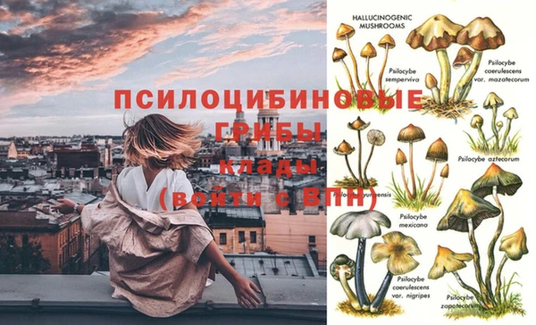 тгк Дмитров