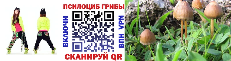 Галлюциногенные грибы GOLDEN TEACHER  Енисейск 