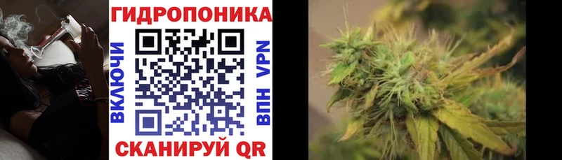 купить закладку  ОМГ ОМГ онион  Марихуана гибрид  Енисейск 